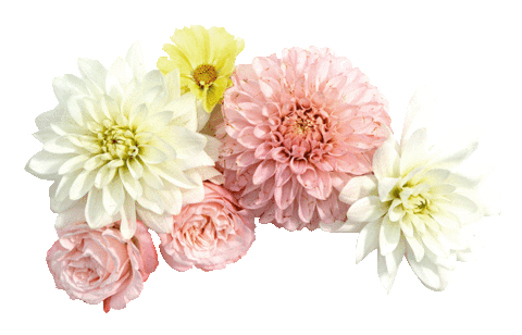 Zdravo ogrevanje | Gatom ogrevalni sistemi